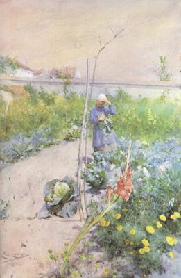 Carl Larsson In the Kitchen Garden (nn2 oil painting picture